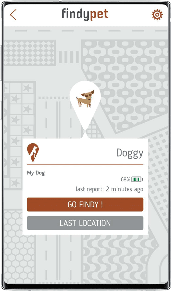 Приложение findyPet