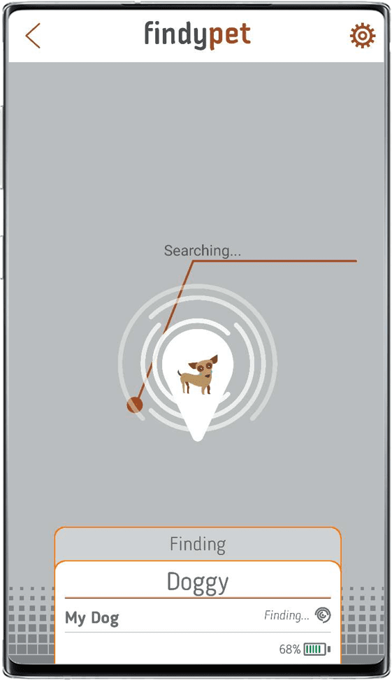 Приложение findyPet