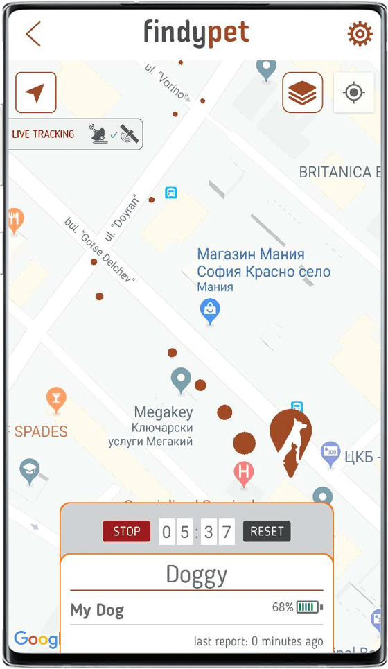 Приложение findyPet
