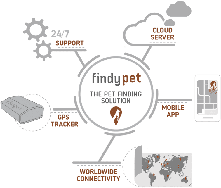 findyPet - the pet finding solution